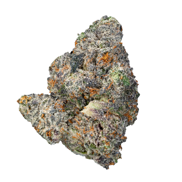 Gelato